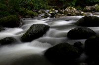 Aira Beck