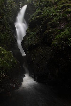 Aira Force