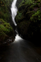 Aira Force