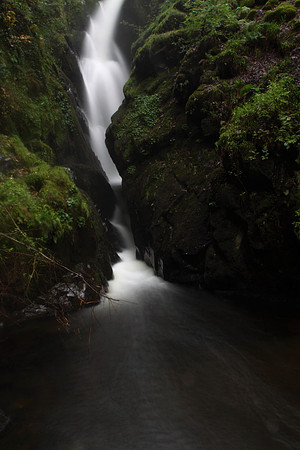 Aira Force