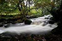 Aira Beck
