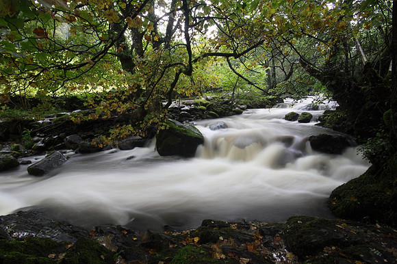 Aira Beck