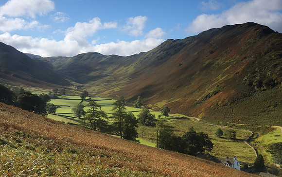 Hallin Fell & Martindale