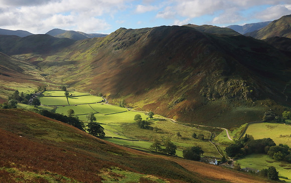 Hallin Fell & Martindale