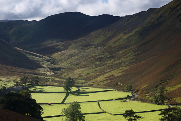 Hallin Fell & Martindale