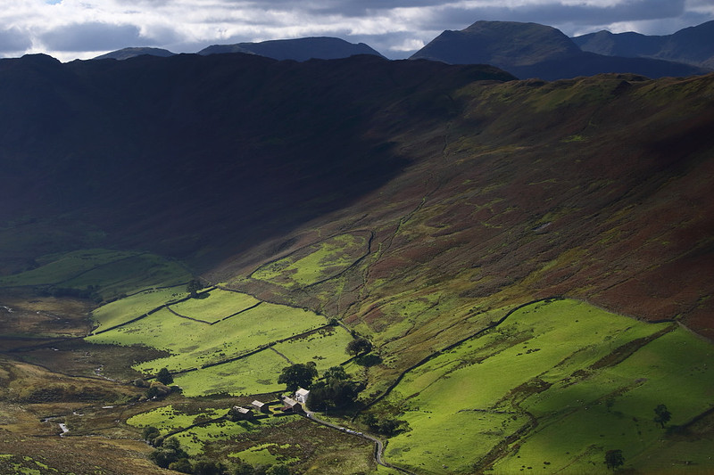 Martindale Light