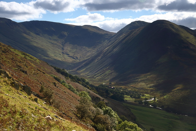 Martindale Light
