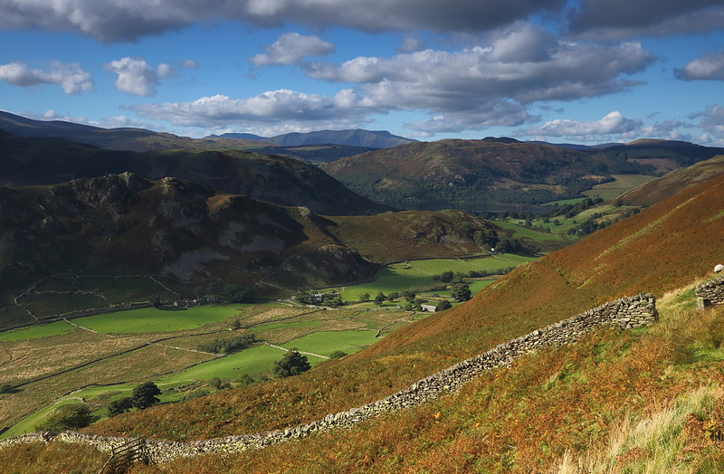 Martindale Light