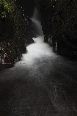 Aira Force