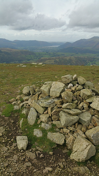Watson's Dodd Summit