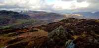 Langdale Pikes from Holme Fell