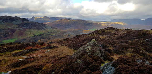 Langdale Pikes from Holme Fell