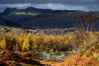 Langdale Pikes from Holme Fell 2