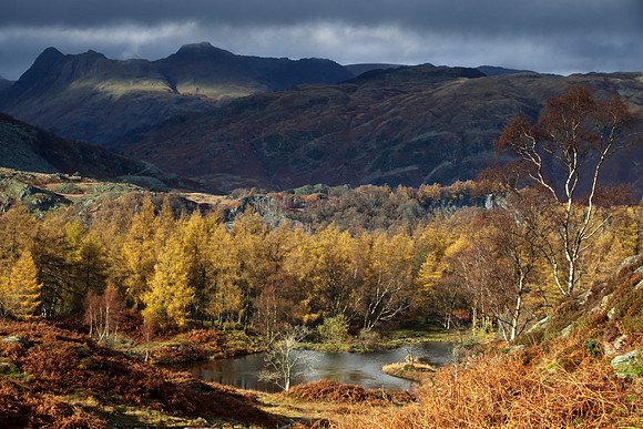 Langdale Pikes from Holme Fell 2