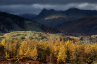 Langdale Pikes from Holme Fell 3