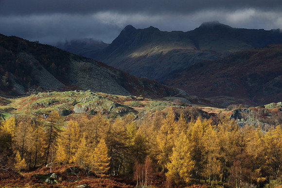 Langdale Pikes from Holme Fell 3