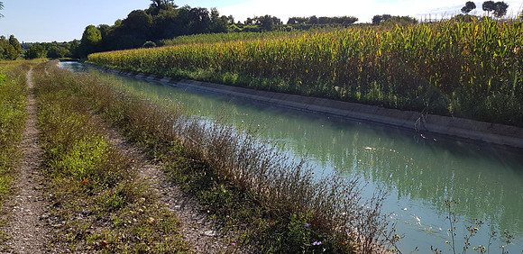 Side channel Mincio River