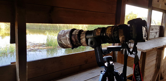 View from Bird Hide 2