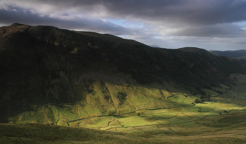 Boredale