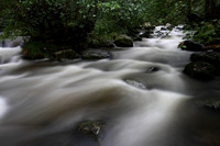 Aira Beck