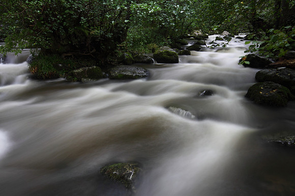 Aira Beck