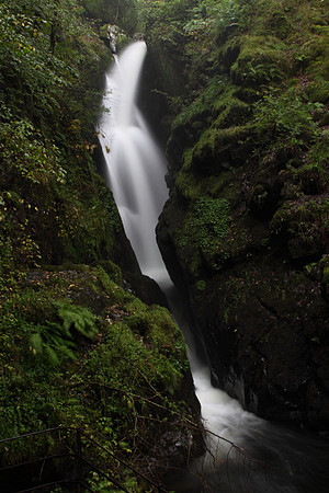Aira Force