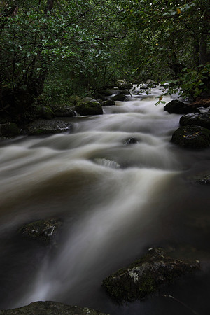 Aira Beck