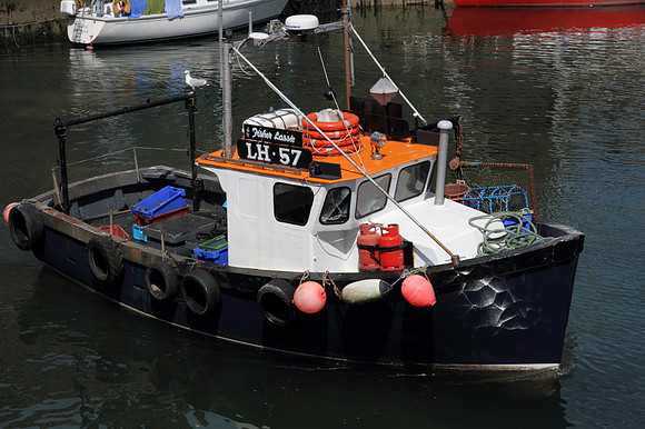 Fisher Lassie - the boat for Bass Rock