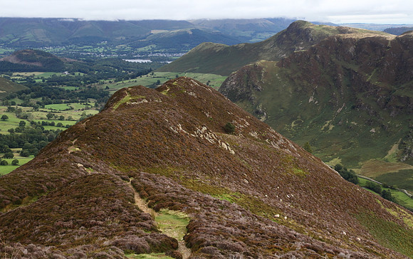 On route to Hindscarth : looking back with Catbells in the distance