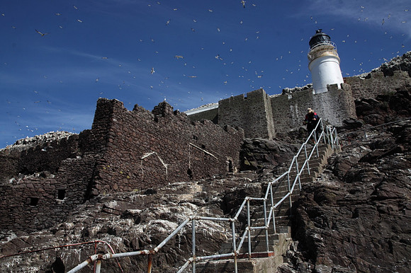 Bass Rock Lighthouse